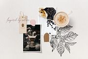 Wondercoffee hand drawn illustration, a Food Illustration by handsketched (Thumbnail 2 of 11)