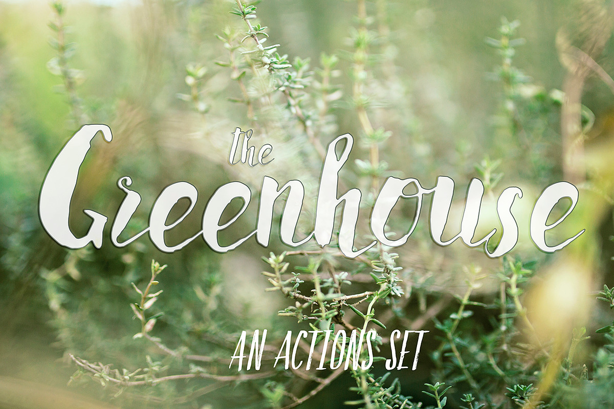 PHOTOSHOP actions set Greenhouse, an Action Add-On by Les Hirondelles Ph (Photo 1 of 10)