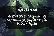 Therifai - Modern Handwritten Font, a Script Font by Dhabee (Thumbnail 3 of 5)