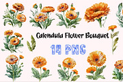 Watercolor Calendula Flowers Set, a Decorative Illustration by ARTify Illustrations (Thumbnail 1 of 3)