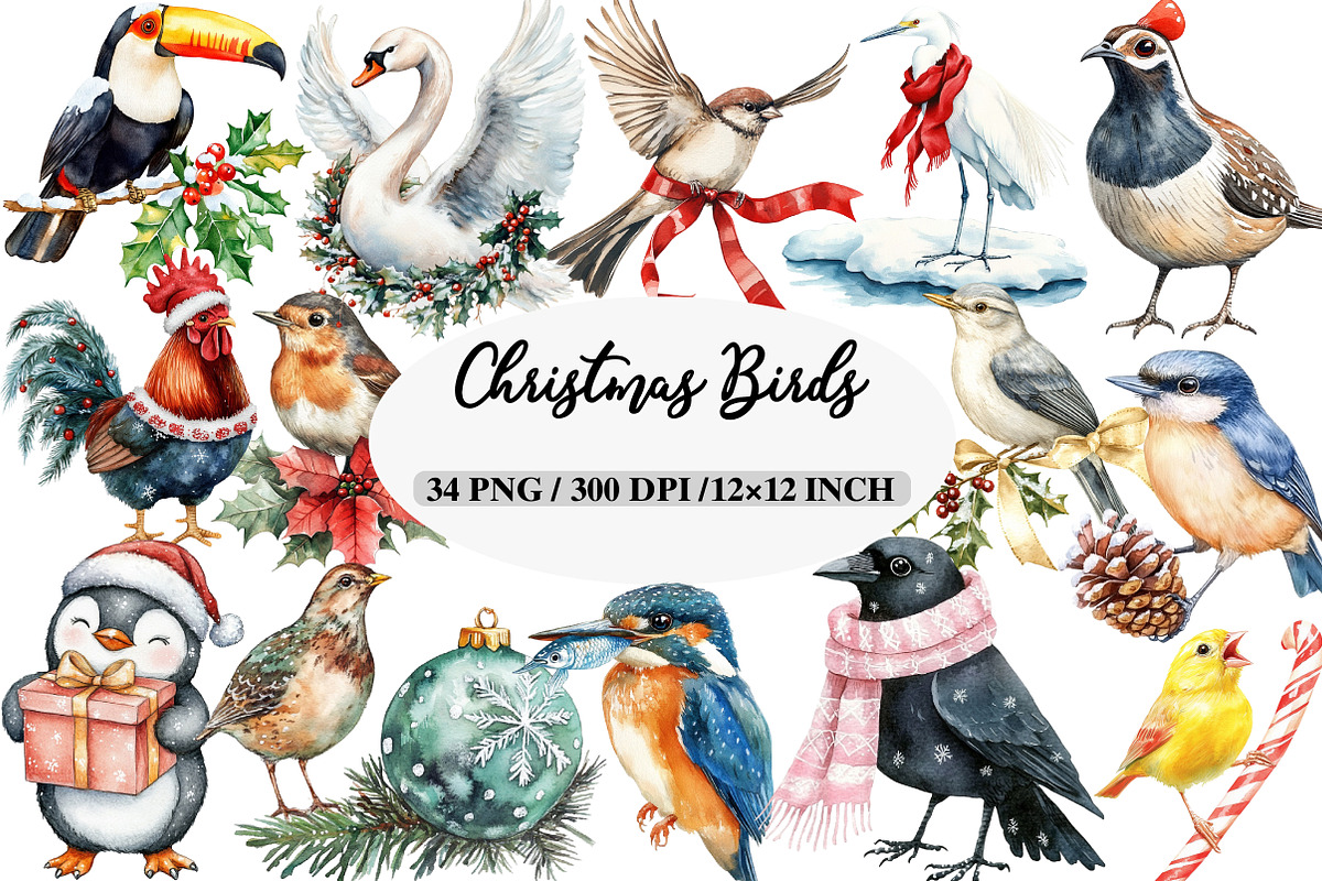 Christmas Birds Sublimation Clipart, an Illustration by Daily.Designs (Photo 1 of 5)