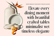 Magoth Modern Serif Display Font, a Serif Font by timelesstype.co (Thumbnail 6 of 20)
