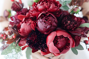 Wedding bouquet of dark red peonies