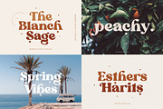 Modern Elegant Font Bundle 2, a Serif Font by Sans & Sons (Thumbnail 9 of 11)