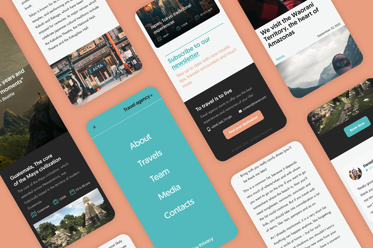 Website with Blog Figma UI Template, an UI Kit Template by danielsantinhos (Photo 2 of 9)