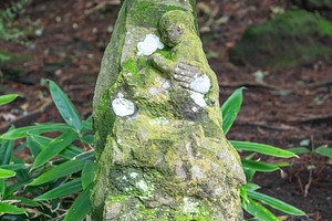 Moss-covered Jizo statue at Jochi-ji Temple in Kamakura, Japan, an Abstract Photo by GoodGoods