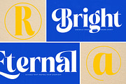 Beachy Lemon Modern Serif Font, a Serif Font by timelesstype.co (Thumbnail 8 of 20)