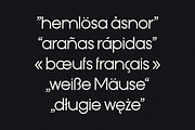 Plato Sans - Geometric Display Font, a Sans Serif Font by Suolahti Type (Thumbnail 7 of 11)