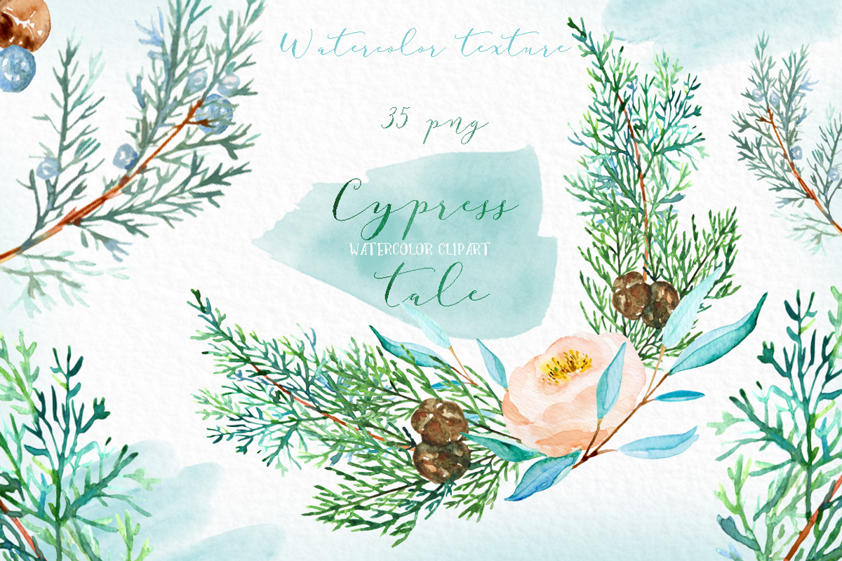 Cypress. Watercolor clipart, a Decorative Illustration by LABFcreations (Photo 6 of 12)