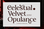 Delvira - Stylish Elegant Serif Font, a Serif Font by Font Liner (Thumbnail 2 of 10)