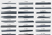 Procreate Copic & Touch Markers, a Brush Add-On by Brush Moment (Thumbnail 2 of 12)