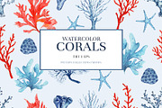 CORALS, a Pattern Graphic by HannaStudio (Thumbnail 1 of 7)