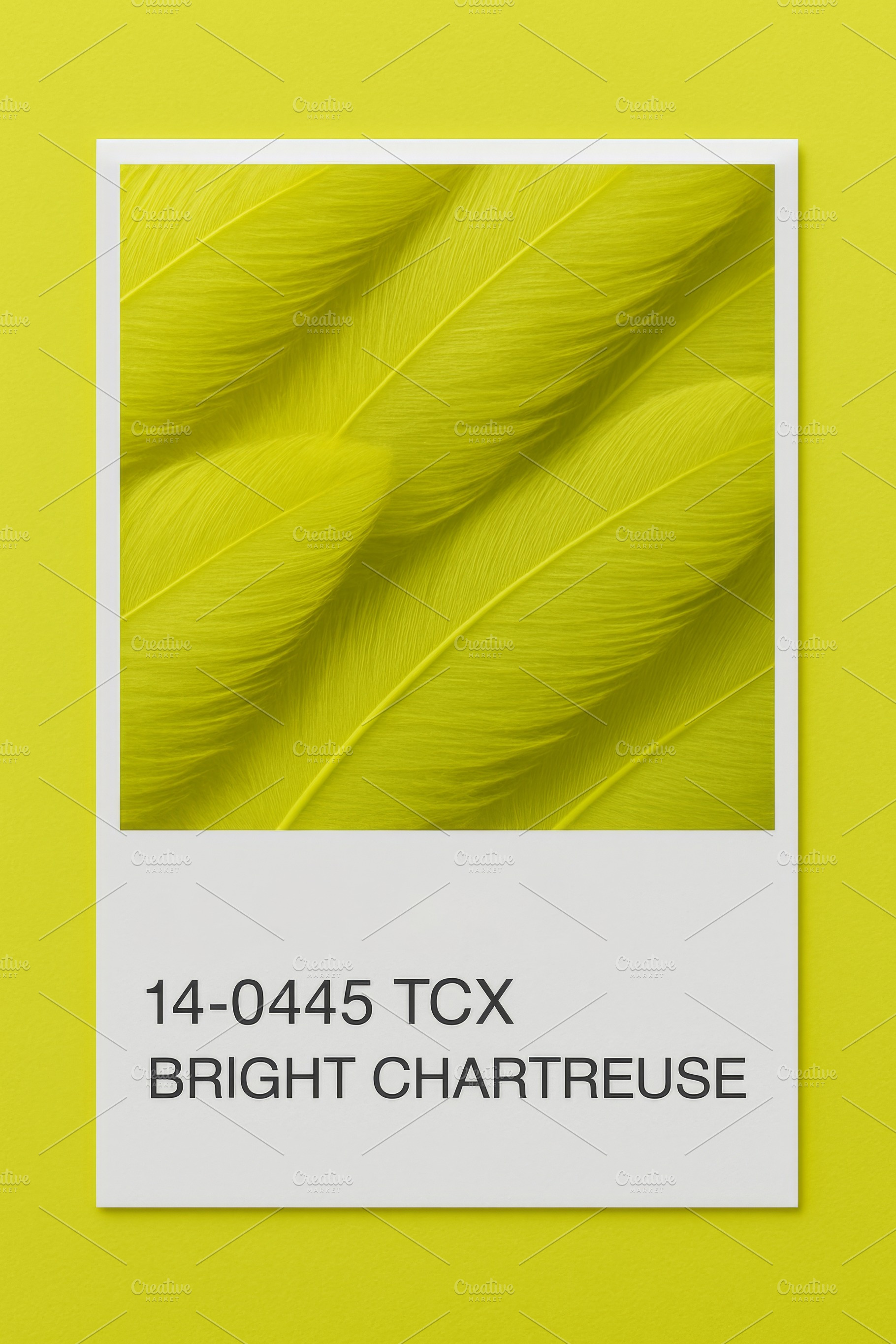 Chartreuse color feathers pattern as, a Photo by Dvoevnore photos