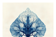 Role Co. Cyanotype Leaf in Symmetry, a Texture Illustration by milatovar (Thumbnail 8 of 21)