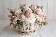 Newborn Basket Digital Backdrop, a Layer Style Add-On by Wild Honey Design Co. (Thumbnail 1 of 2)