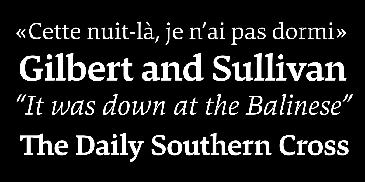 Danton, a Serif Font by Hoftype (Photo 12 of 15)
