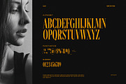 Eagles Serif Font, a Serif Font by Perfectype (Thumbnail 8 of 8)