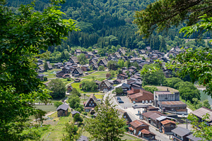 Traditional thatched houses of Shirakawa-go village in rural Jap, an Architecture Photo by GoodGoods