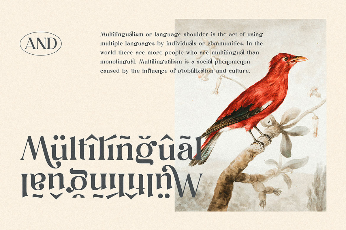 Dunsmuir - Modern Serif Font, a Serif Font by Cruzine (Photo 9 of 9)