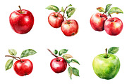 Watercolor Apple Clipart, an Illustration by Design Market (Thumbnail 4 of 4)