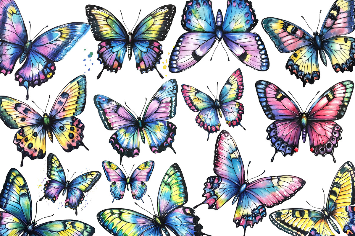 Watercolor Butterfly Clipart, an Illustration by Libby Wishes (Photo 2 of 5)