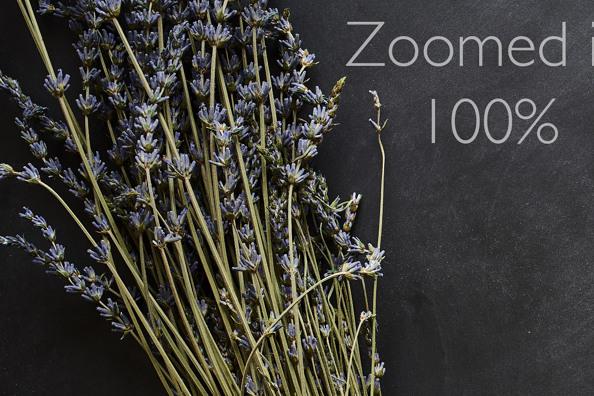 Lavender Dream Chalkboard Photos, a Product Mockup by Kudzu Camera (Photo 2 of 7)