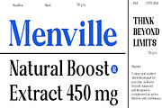 Randion, a Serif Font by StudioRhd (Thumbnail 2 of 14)