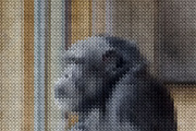 Knitting Photoshop Action, an Action Add-On by AndriyFM (Thumbnail 17 of 18)