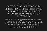 Zacorsea – Beauty Elegant Ligature, a Serif Font by Typia Nesia (Thumbnail 3 of 11)
