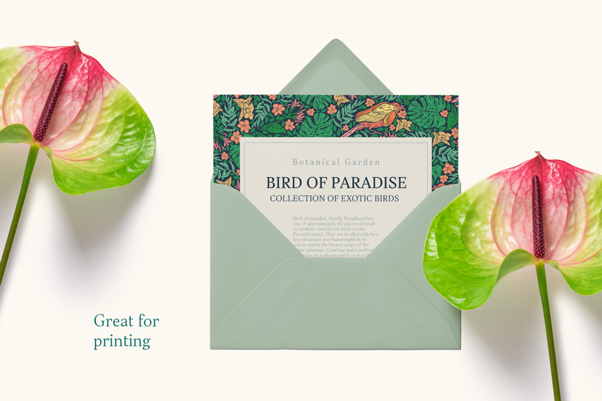 Bird-of-Paradise patterns, a Pattern Graphic by Piñata (Photo 8 of 13)