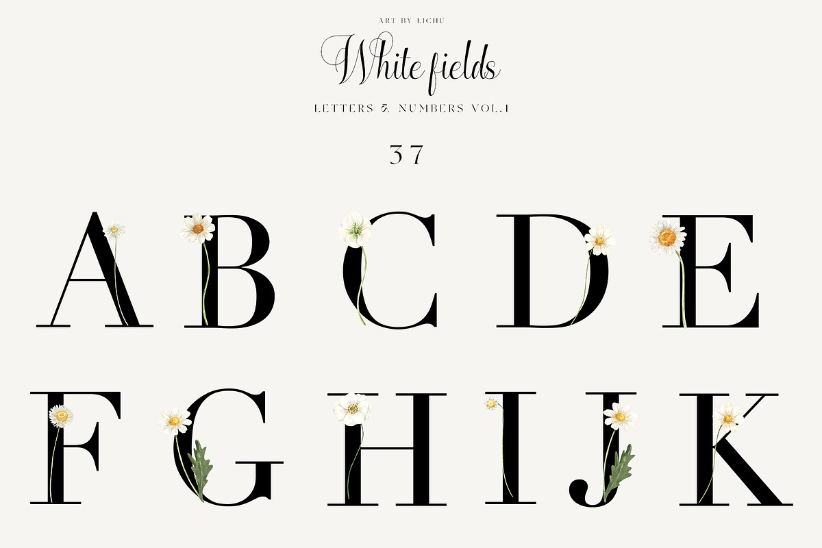 White Fields wildflowers flora, an Education Illustration by LiChu Art (Photo 10 of 12)