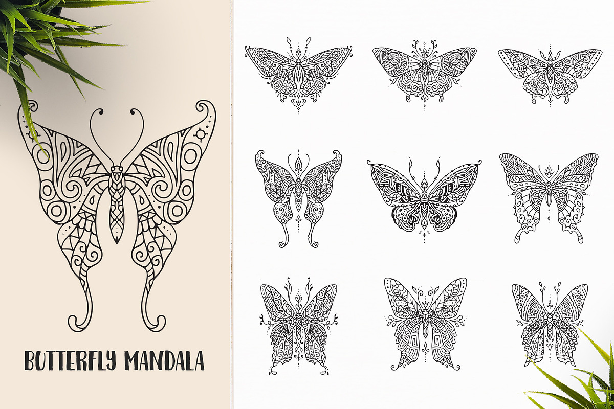 530 Vector Mandala Ornaments, an Animal Illustration by pixaroma (Photo 8 of 55)