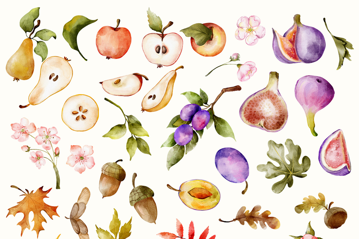 Autumn Harvest Watercolor Collection, a Seasonal Illustration by Pattern + watercolor (Photo 5 of 12)