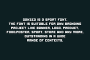 Ganzed - Italic & Sport Font Duo, a Serif Font by QR Design Studio (Thumbnail 5 of 8)