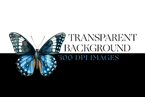 Watercolor Butterfly Species Clipart