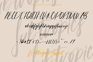 Subtropics - Fancy Calligraphy Font