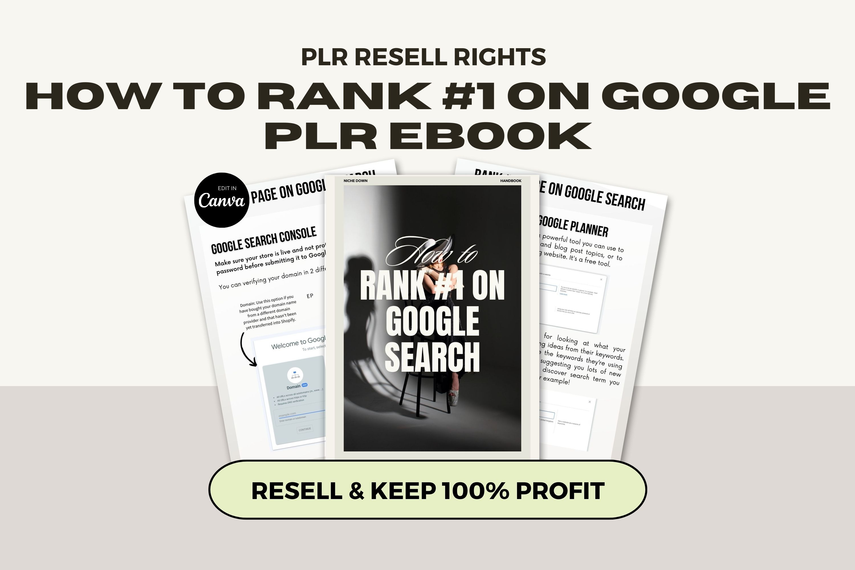Plr How To Rank On Google Resell Mrr by The Thrive Society | Creative Market