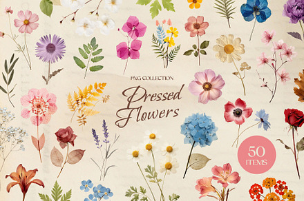 50 Pressed Flower Png Elements, an Object Graphic by rawpixel
