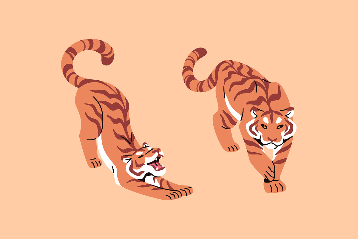 Tigers set + seamless pattern, an Animal Illustration by PaperTrident (Photo 4 of 5)