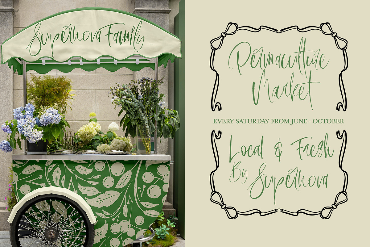 Charlotte Garling, a Script Font by Alcode (Photo 7 of 15)