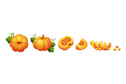 Pumpkin slice. Cute pumpkins cut, an Object Illustration by Stock-Smart-Start (Thumbnail 1 of 3)