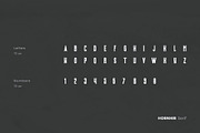 Hornhir Font Family (2 Fonts), a Sans Serif Font by AlienValley (Thumbnail 4 of 6)