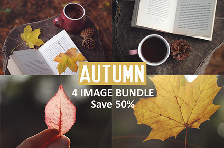 Autumn 4 image bundle - Save 50%
