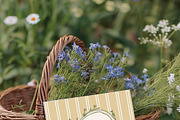 Spring Watercolor Illustrations, a Decorative Illustration by whiteheartdesign (Thumbnail 16 of 30)