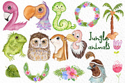 Tropical birds Cute Animals, an Animal Illustration by vivastarkids (Thumbnail 3 of 7)