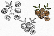 Nuts and snacks, a Food Illustration by Ann Astro (Thumbnail 16 of 24)