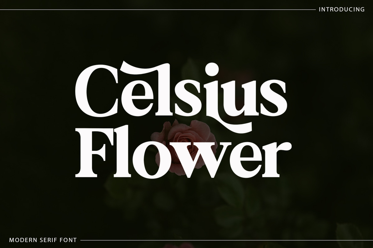 Celsius Flower, a Serif Font by Typehill (Photo 1 of 12)