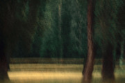 15 Motion Blur Landscape Photo, a Background Photo by Fun Fusion Design (Thumbnail 11 of 11)