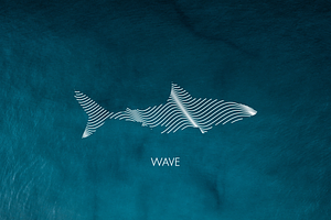 WAVE 01: Flexible Abstract Designs