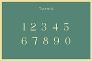 Gecord, a Serif Font by Rishsketch (Thumbnail 9 of 13)
